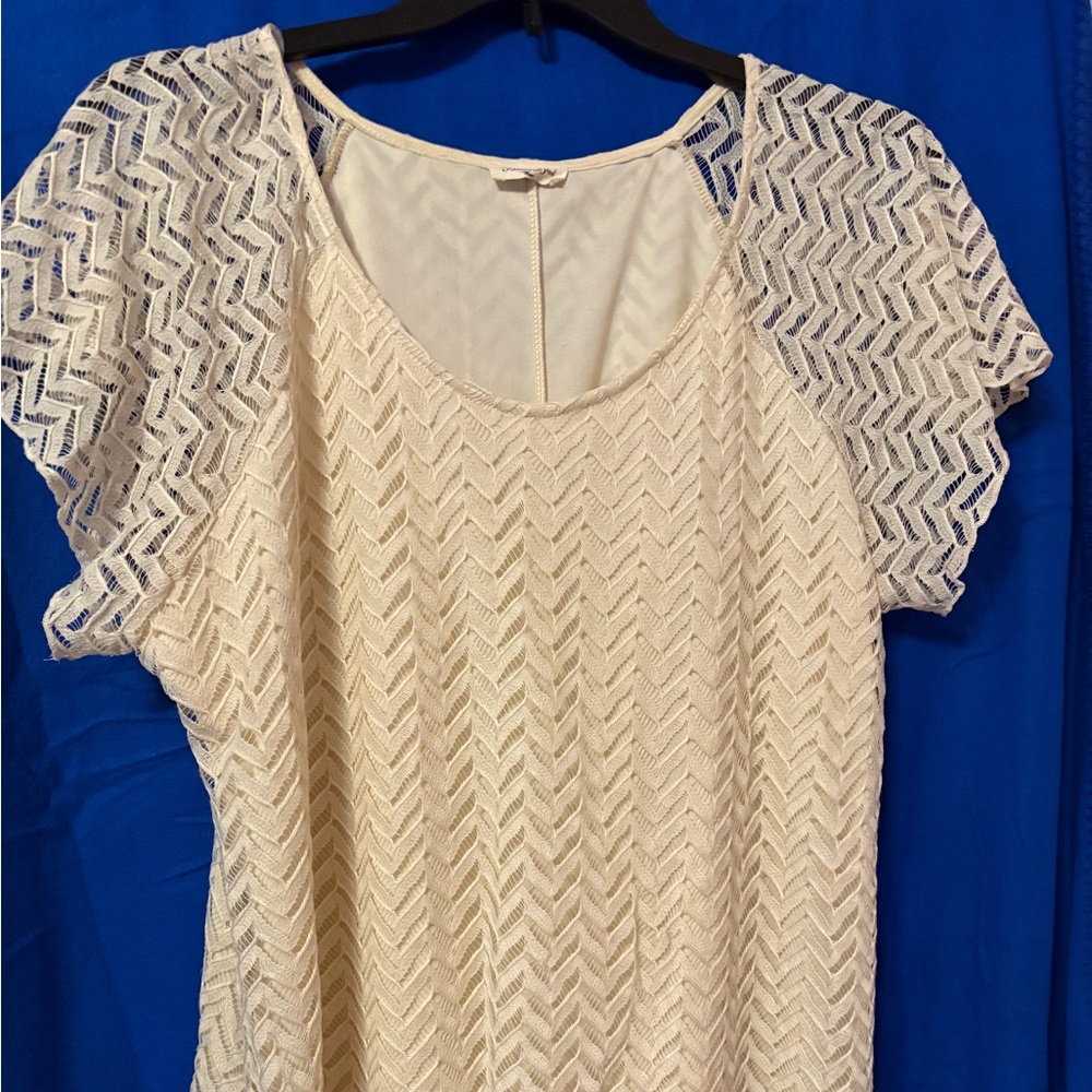 Gently worn Brittany Black size 2X lace top.